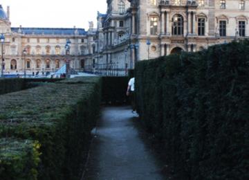 Dans les buissons des « jardins gay » du Louvre