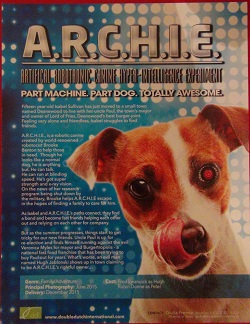 archie.jpg